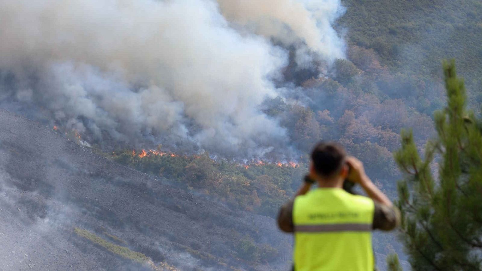 Telediario - 8 horas - 20/08/25 - Lengua de signos - Telediario en lengua de signos | Ver