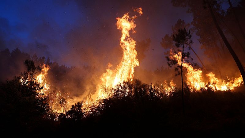 Una vecina de Fasgar: “Esto no va de colores políticos, estamos viendo quemar nuestras raíces” - La hora de La 1 | Ver