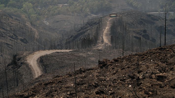  - Roberto Hartasánchez, socio fundador de FAPAS: "Ha habido fuegos con unos daños muy grandes en hábitats con alto valor ecológico"