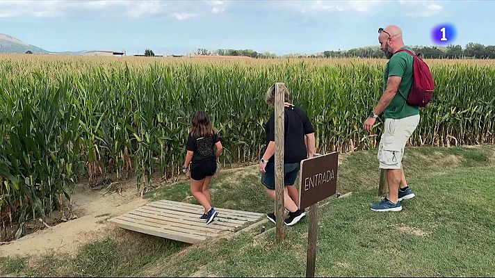 L'Informatiu - Un laberint de blat de moro per sobreviure del camp