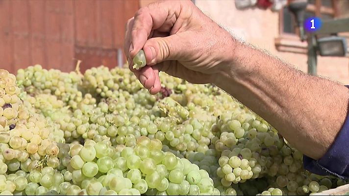 L'Informatiu - L'Informatiu - 20/08/2025