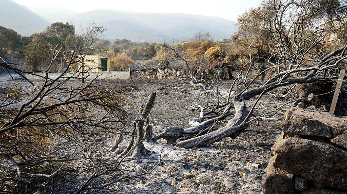 Telediario en lengua de signos - Telediario - 15 horas - 20/08/25 - Lengua de signos