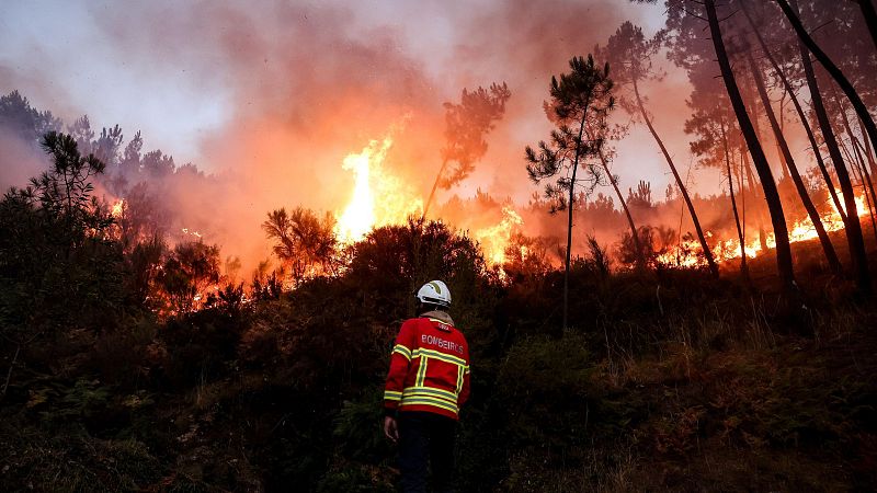 Dominan dos de los cuatro grandes incendios que asolan Portugal | Ver