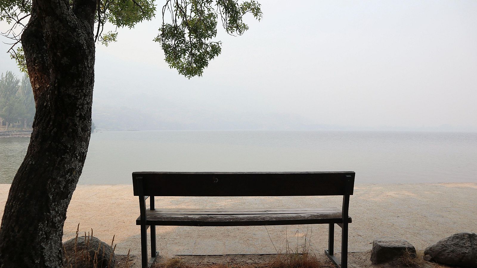 Desalojados por los incendios en Zamora - Telediario 1 | Ver