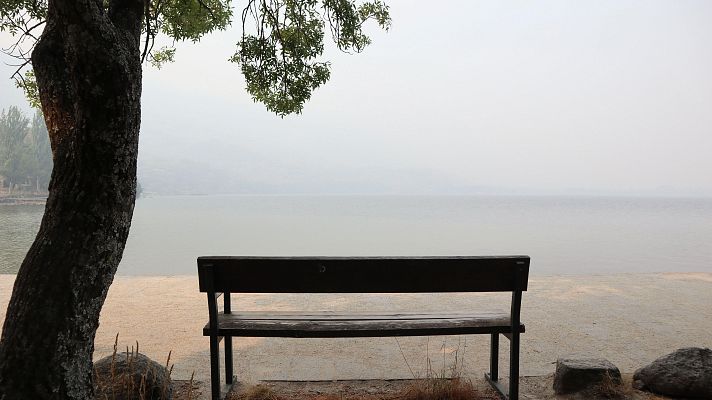 Telediario 1 - Desalojados por los incendios en Zamora