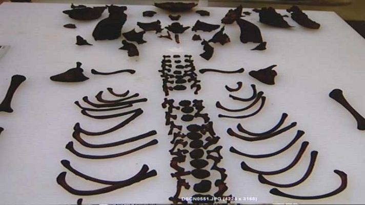 Telediario 1 - Caso bebés robados