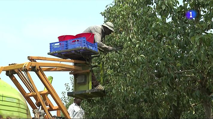L'Informatiu - Aigua amb sodi i potassi, la solució contra la deshidratació dels temporers