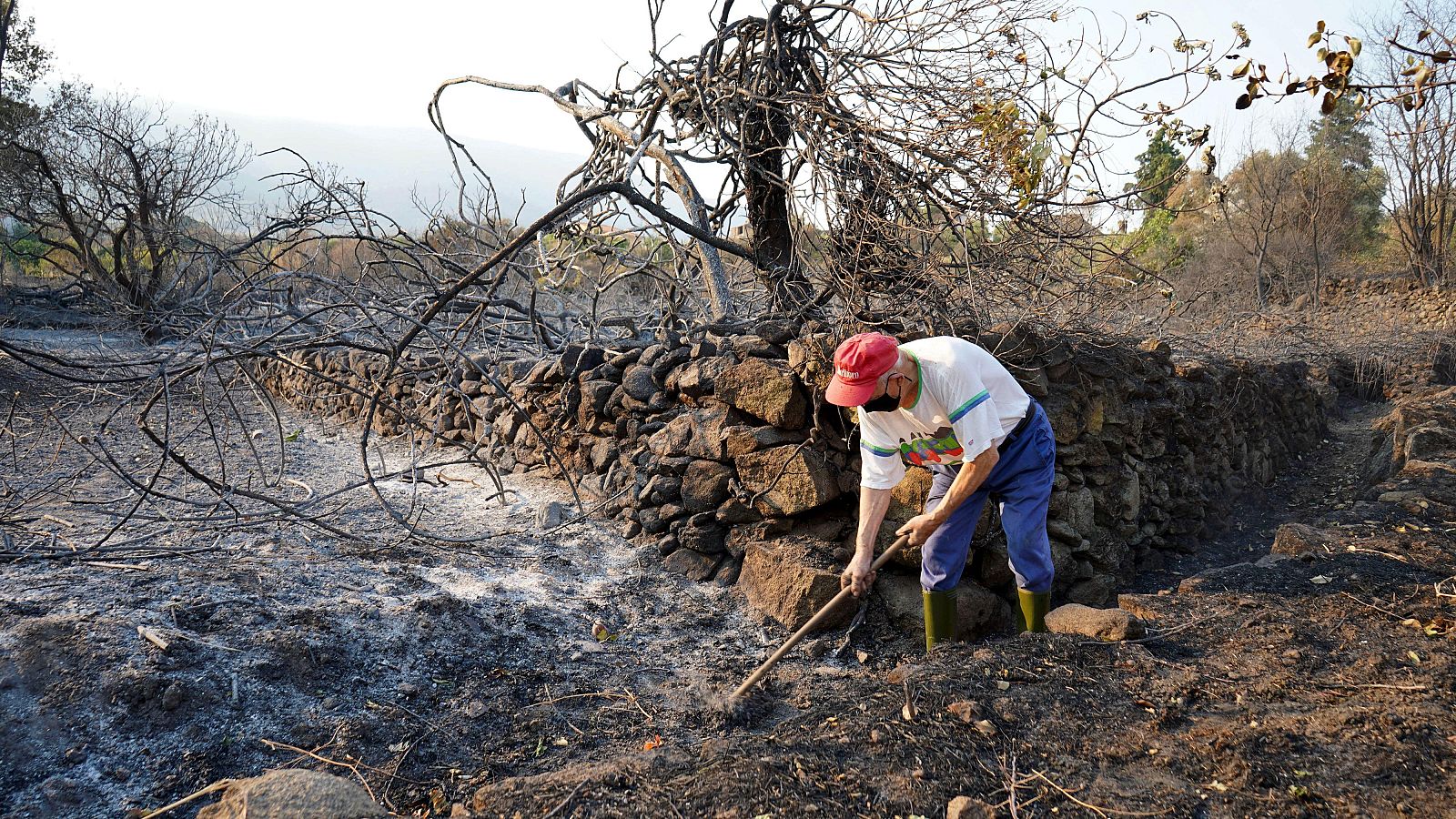 La Garganta, pendiente de una posible evacuación por el avance del incendio de Jarrilla | Ver