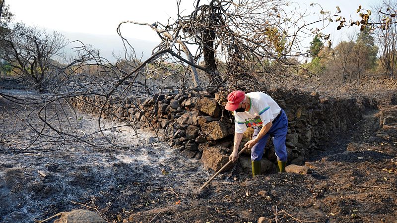 La Garganta, pendiente de una posible evacuación por el avance del incendio de Jarrilla | Ver
