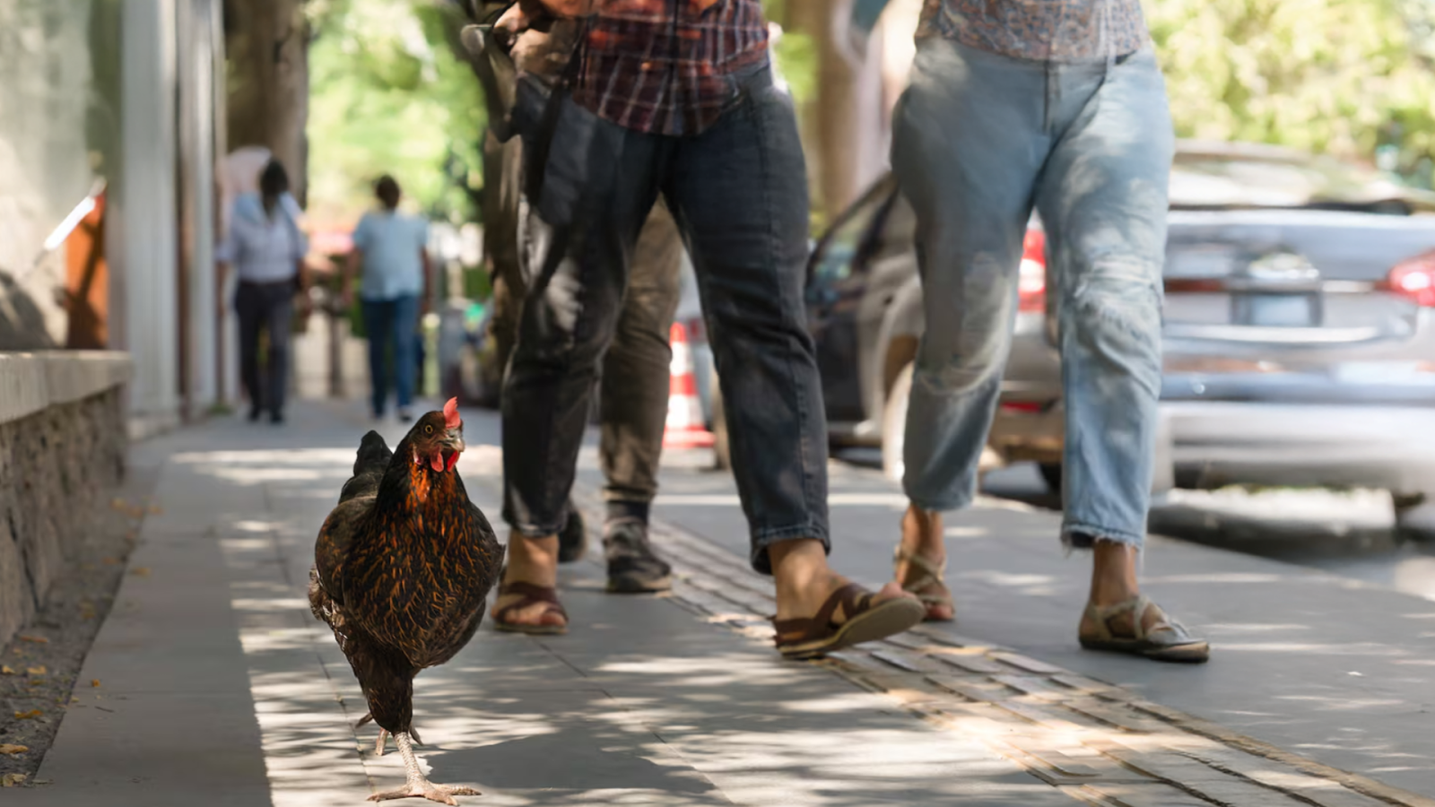 L'Informatiu de la Comunitat Valenciana 1 - 21/08/25 | Ver