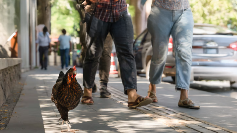 L'Informatiu de la Comunitat Valenciana 1 - 21/08/25 | Ver