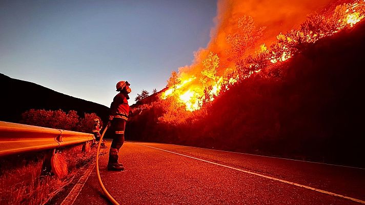 Diario 24 - Diario 24 - 21/08/25