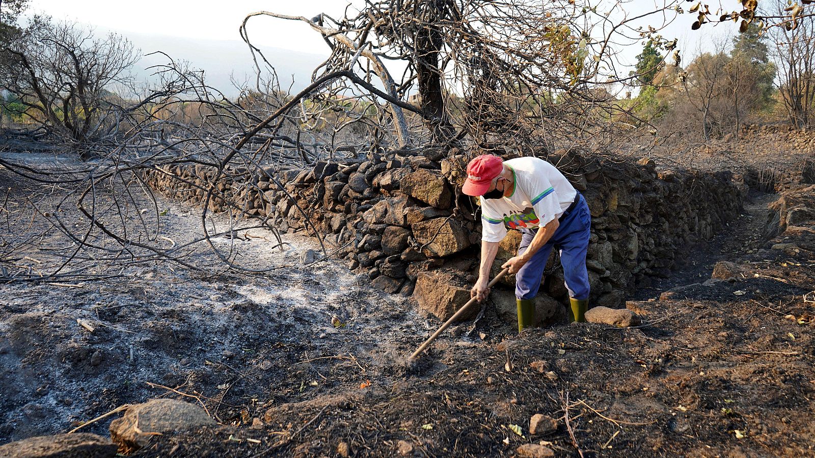 Optimismo en la lucha contra el incendio de Jarilla, Cáceres - Telediario 1 | Ver