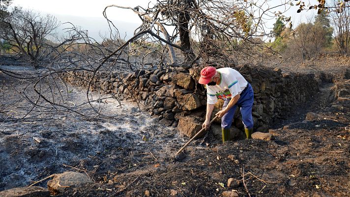 Telediario 1 - Optimismo en Extremadura por la mejora de las condiciones meteorológicas en la lucha contra el incendio de Jarilla