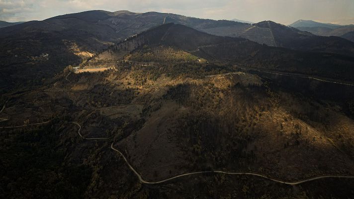 Telediario 1 - Un rayo de luz entre el humo de los incendios de Galicia: el tiempo ayuda para controlar el fuego