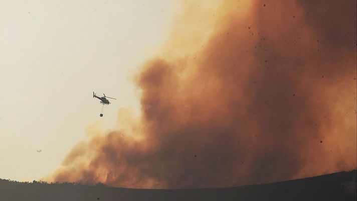 La tarde en 24h - Víctor Resco, catedrático de ingeniería forestal: "Se están acumulando grandes cantidades de combustible de manera conectada"