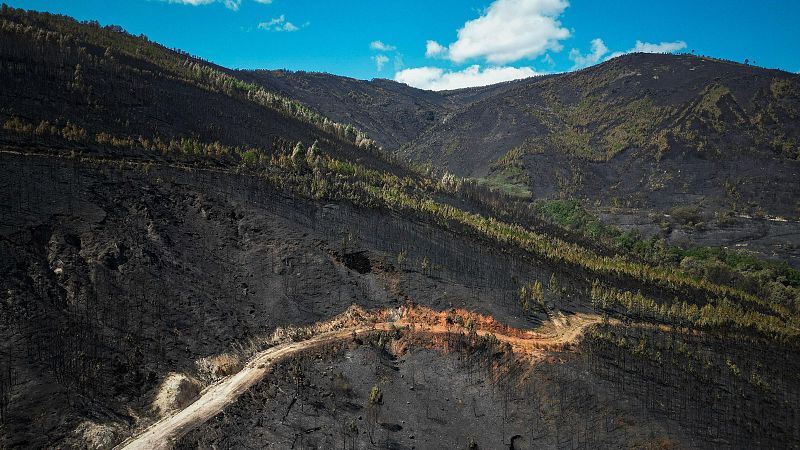 La Fiscalía investiga la falta de planes de prevención como causante de la ola de incendios - Telediario 1 | Ver