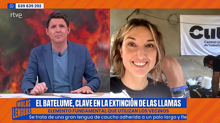 Malas lenguas - 'Batefuegos' contra los peores incendios en 30 años