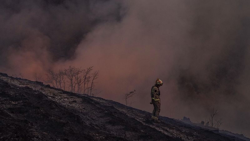 Falta de recursos para planes de prevención contra incendios | Ver