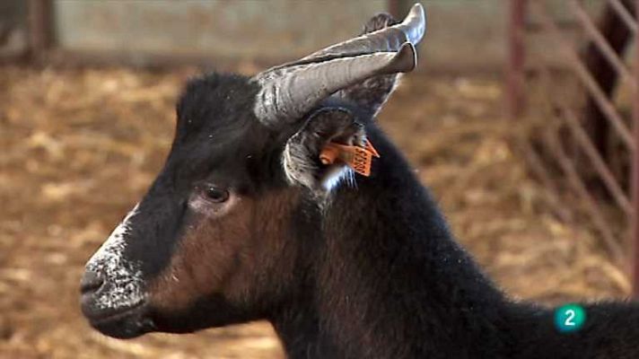 Agrosfera - Agrosfera - 19/01/13