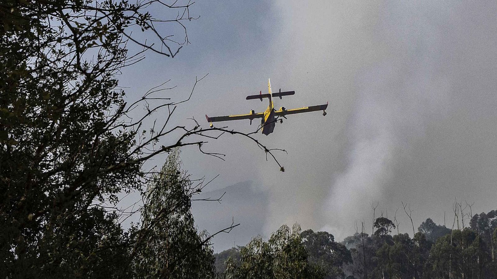 Diario 24 - 22/08/25 - Diario 24 | Ver