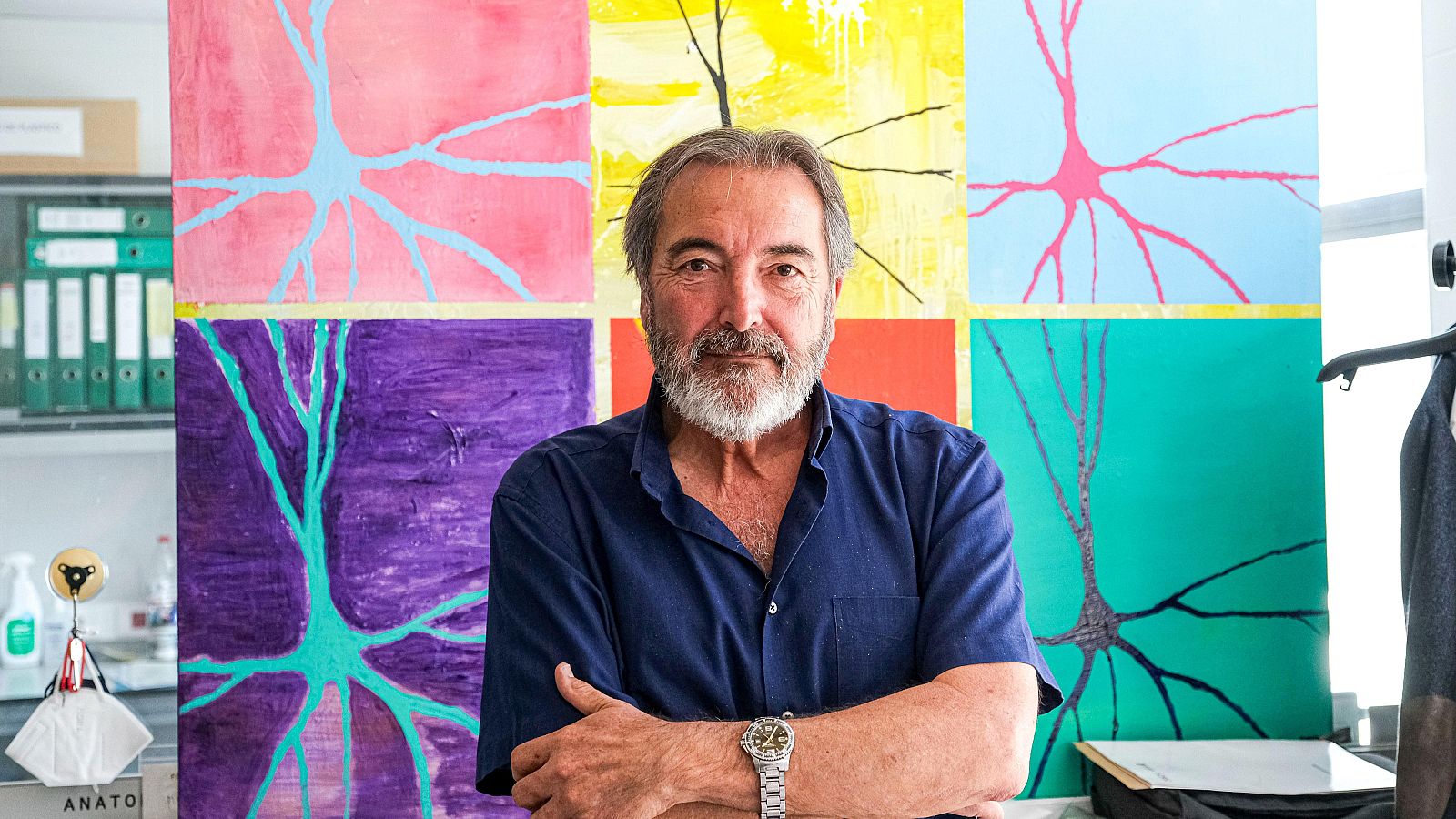 La COVID-19 en el embarazo puede afectar el cerebro del bebe | Ver