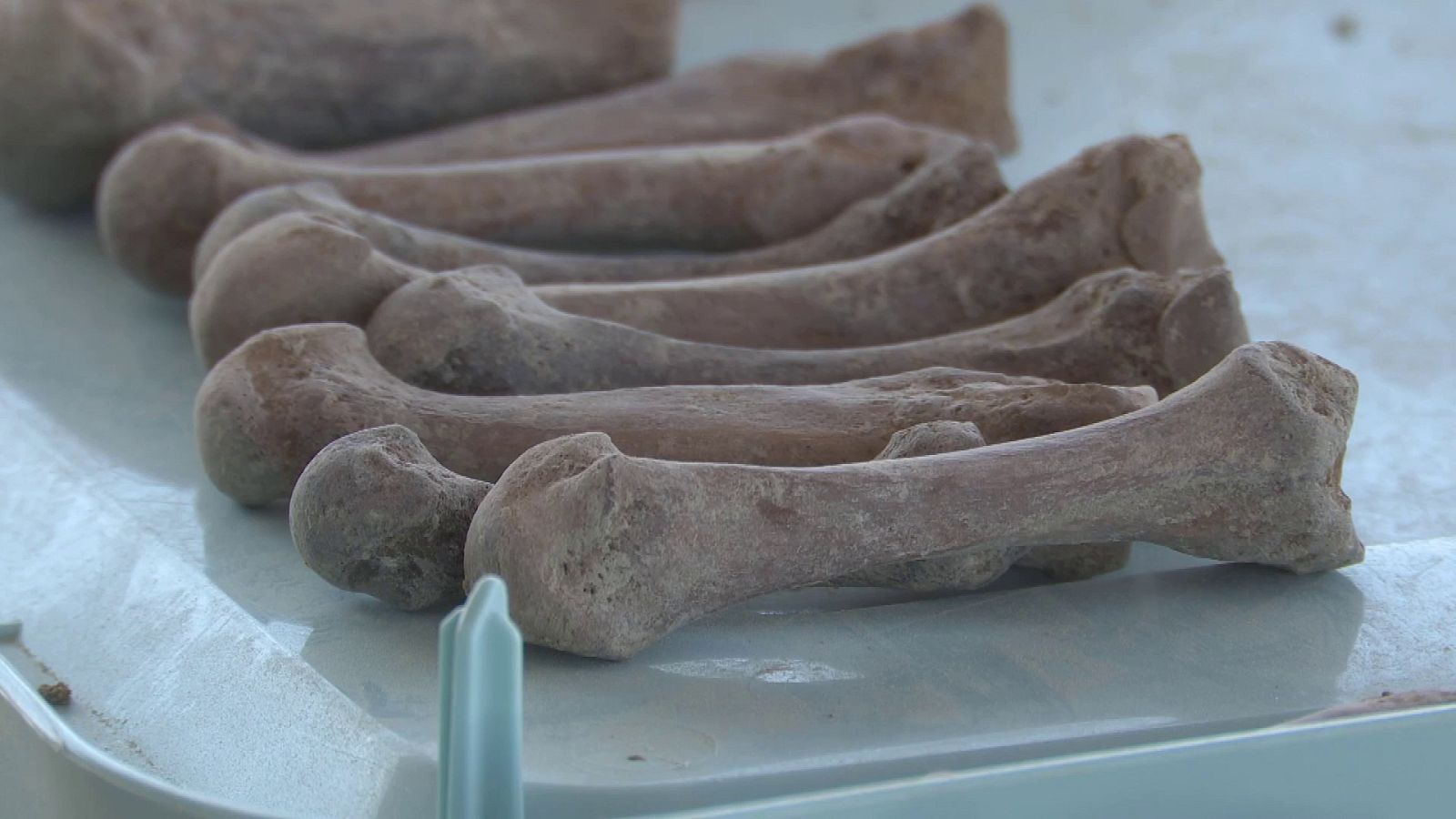 Finca de los Alfredos/Bodega II (Medina del Campo, Valladolid) | Ver ahora