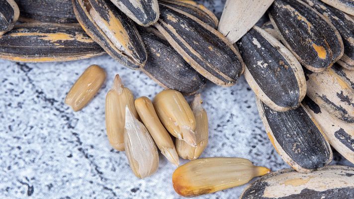 Telediario 2 - Así se inició en España la costumbre de comer pipas