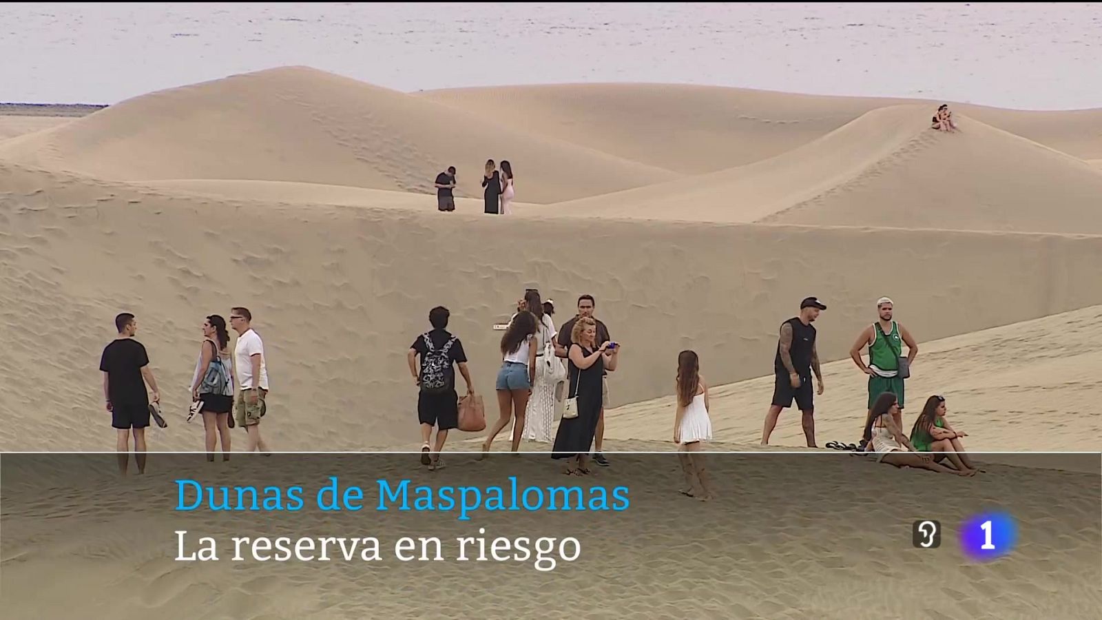 Telecanarias - 23/08/2025 | Ver