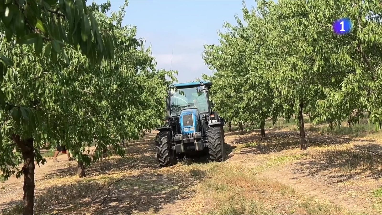 Incertesa al voltant de l'impacte dels aranzels