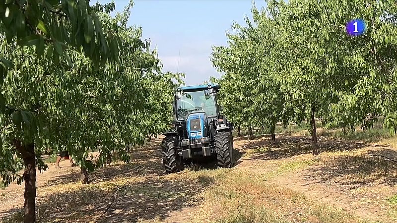 Incertesa al voltant de l'impacte dels aranzels