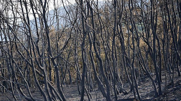 Fin de semana 24h - Informativo 24 horas - 14h - 23/08/25