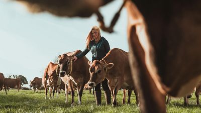 Los efectos de los incendios golpea a los ganaderos m�s j�venes | Ver