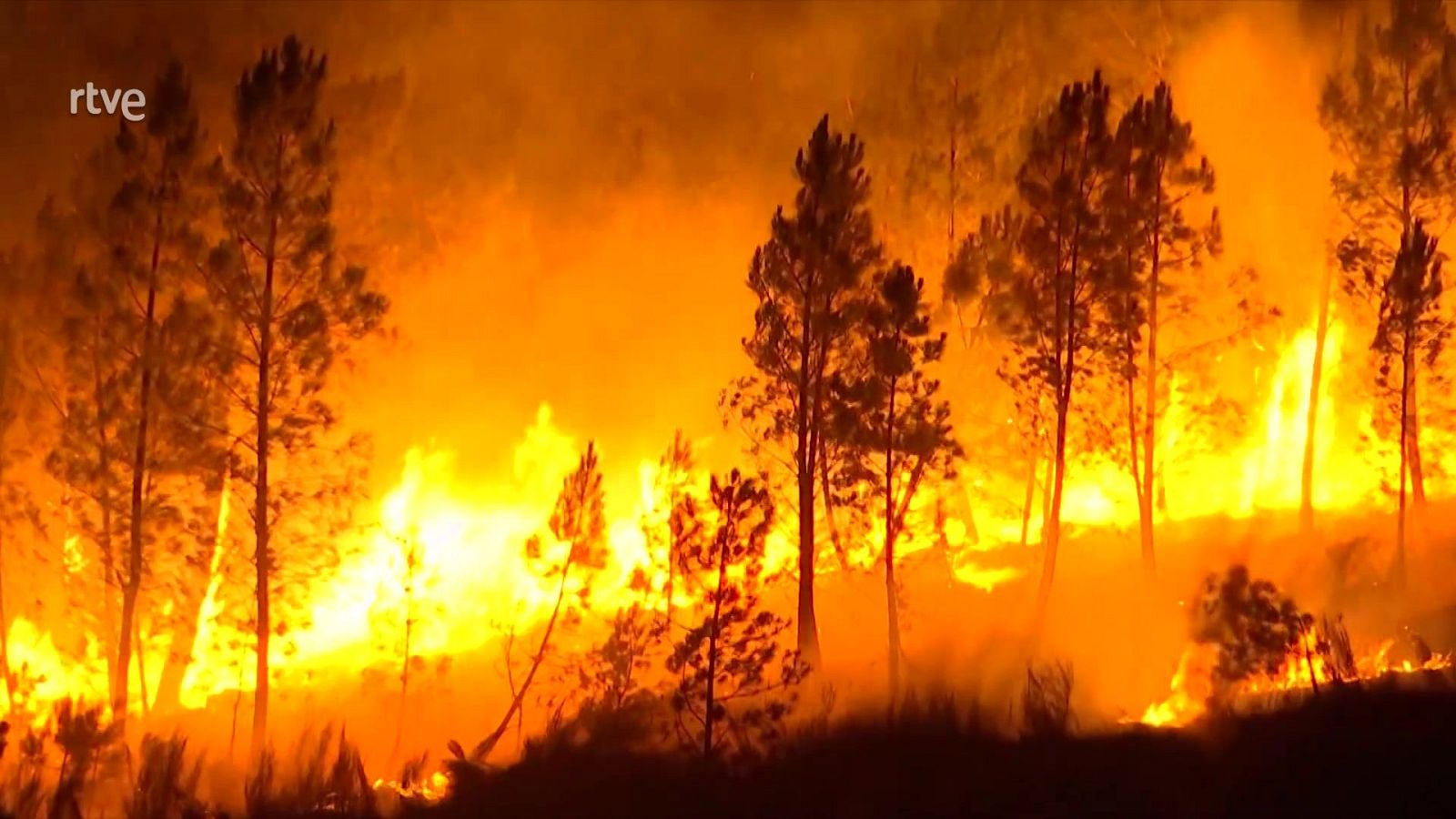 Informe semanal - 23/08/25 - Informe Semanal | Ver