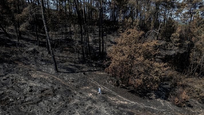 Telediario Fin de Semana - Solastalgia: tristeza por perder el entorno