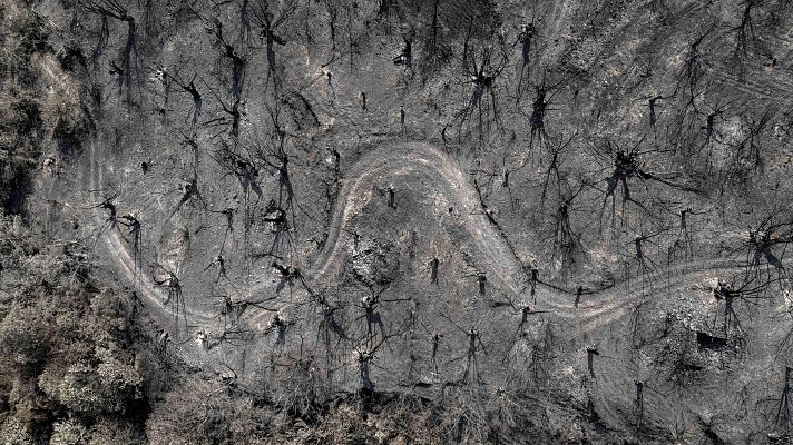 Telediario Fin de Semana - Los vecinos de Roblido se quedaron y salvaron su aldea del fuego