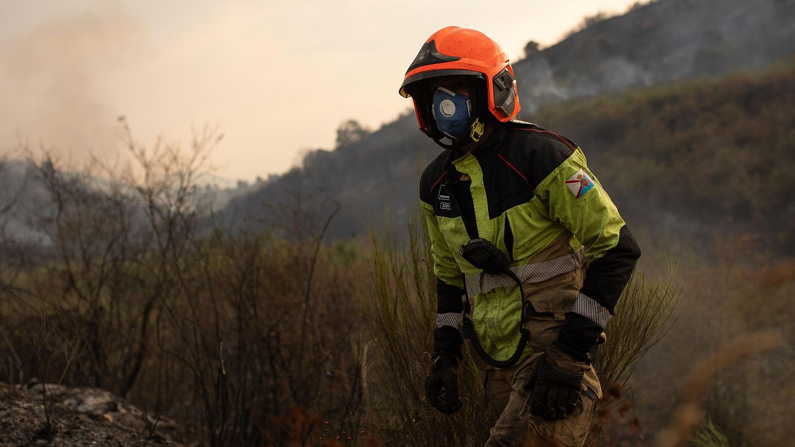 Telediario - 8 horas - 25/08/25 - Lengua de signos - Telediario en lengua de signos | Ver
