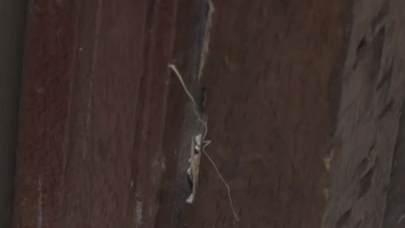 Así averiguan cómo robar en tu casa - Mañaneros 360 | Ver