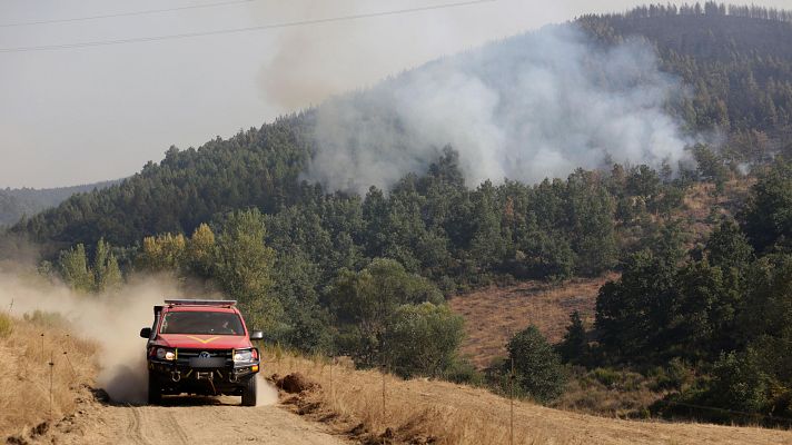 Diario 24 - Diario 24 - 25/08/25