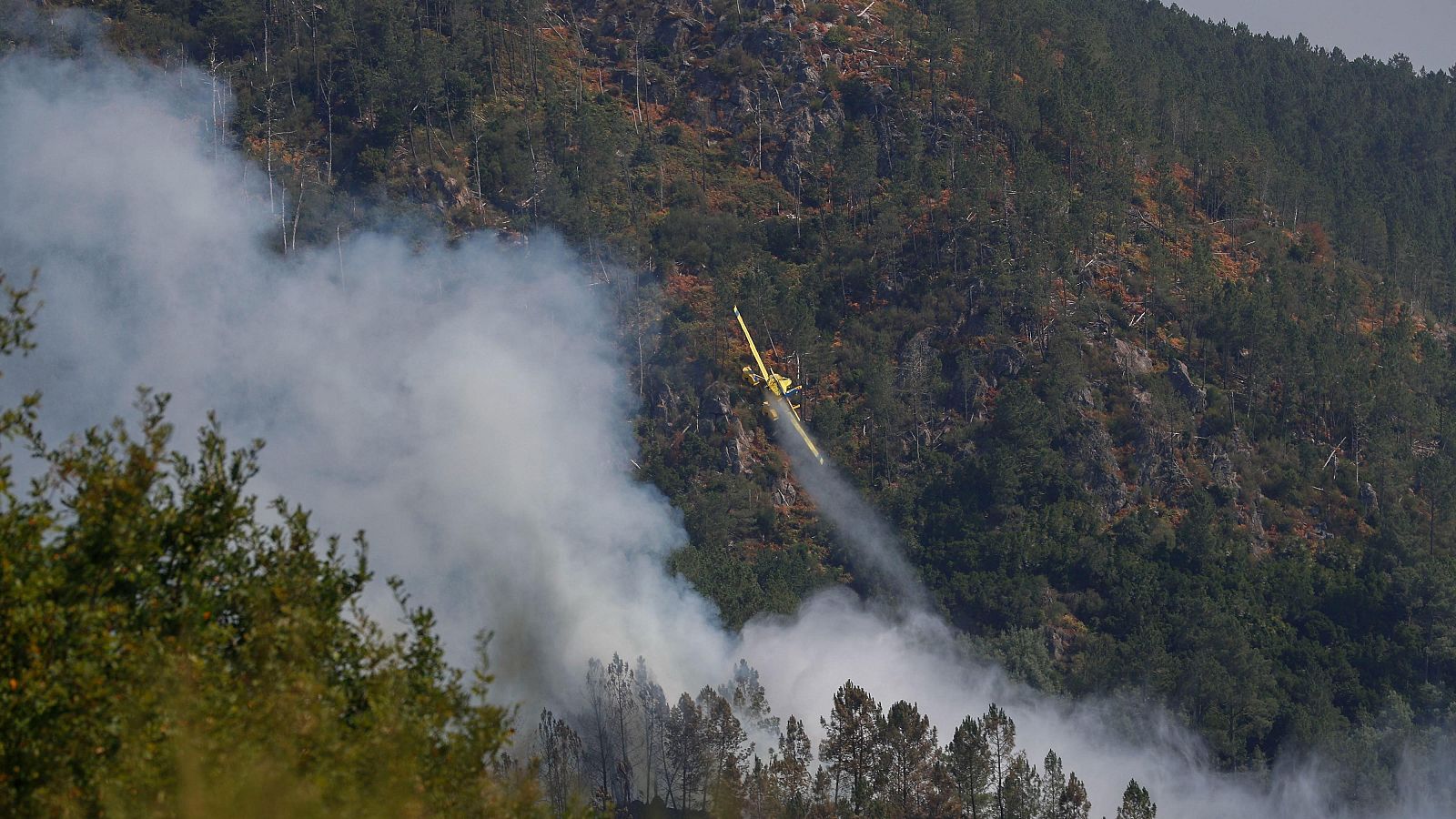La contaminación aumenta la posibilidad de sufrir un infarto | Ver