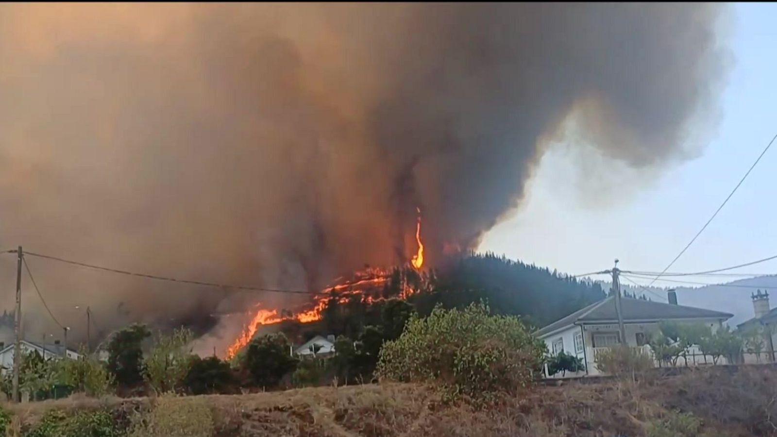 Informativo 24 horas - 20h - 25/08/25 - Informativo 24h | Ver