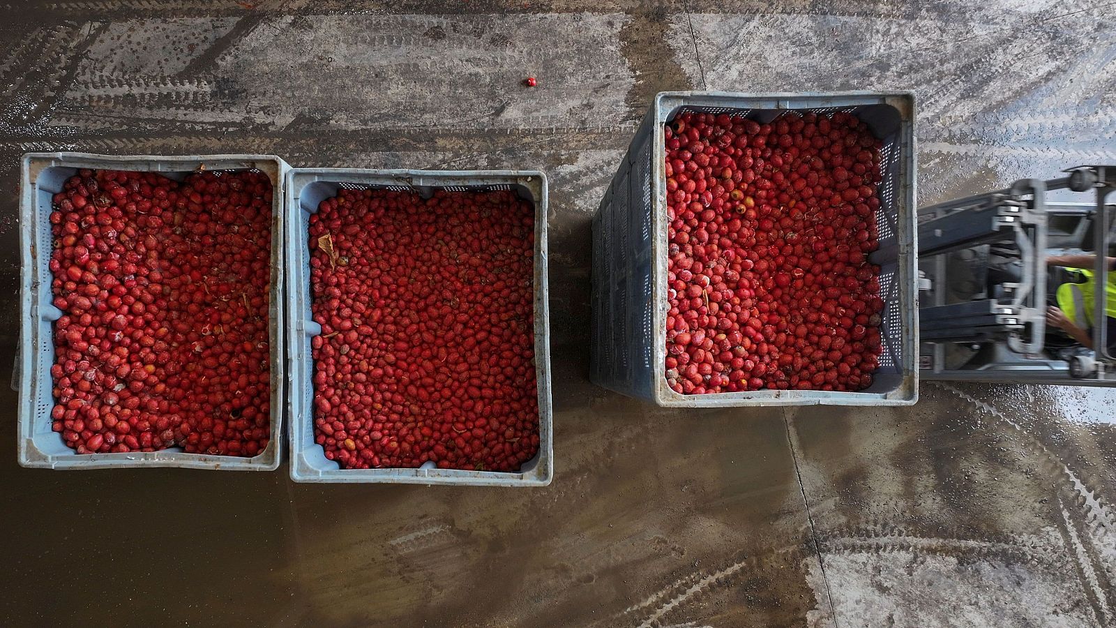 L'Informatiu de la Comunitat Valenciana 2 - 26/08/25 | Ver