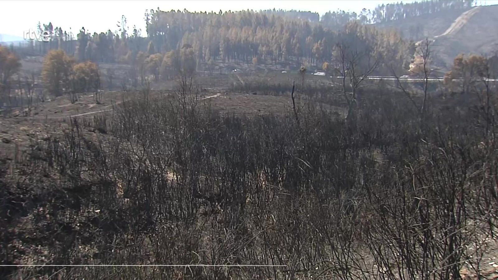 Informativo 24 horas - 20h - 26/08/25 - Informativo 24h | Ver