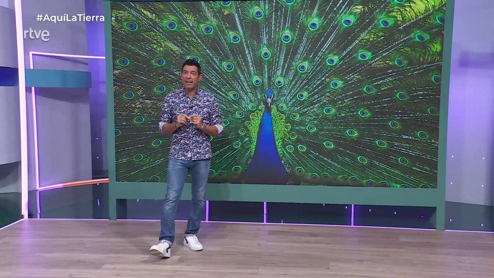 Aquí la Tierra - 26/08/25 - Aquí la Tierra | Ver