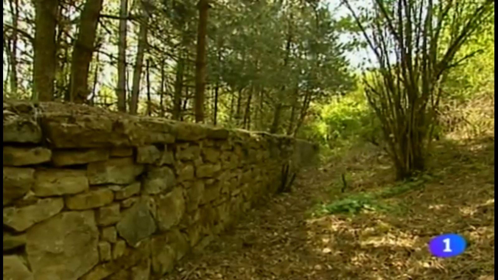 Dignificación del "Cementerio de las Botellas" (Barrioplano, Navarra) | Ver ahora