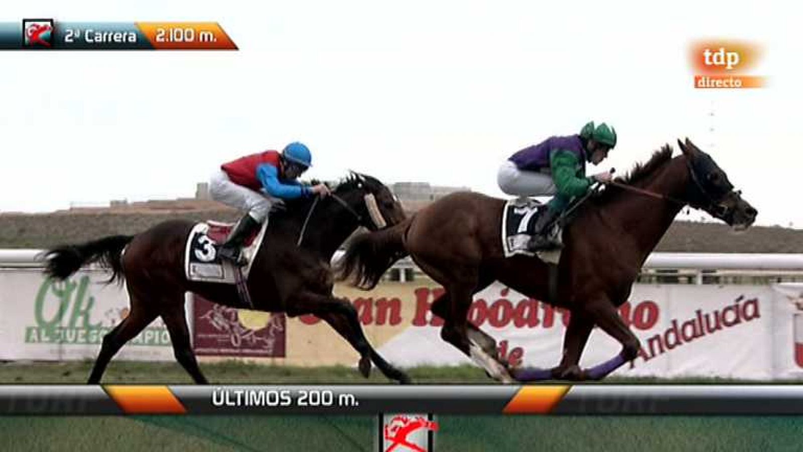 Turf - 20/01/13 - Ver ahora