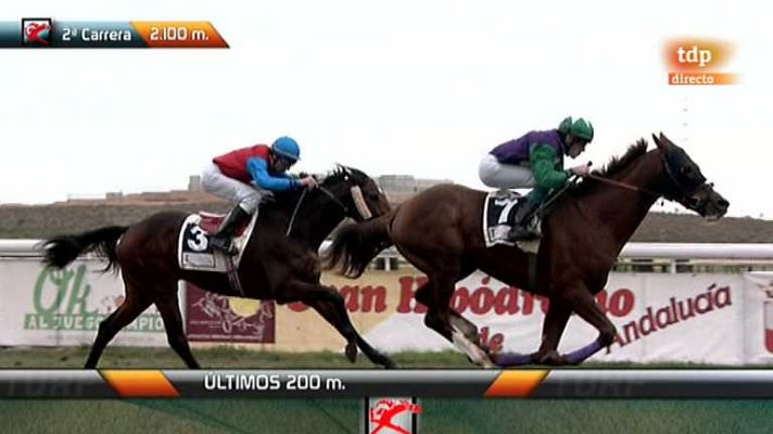 Turf - Turf - 20/01/13