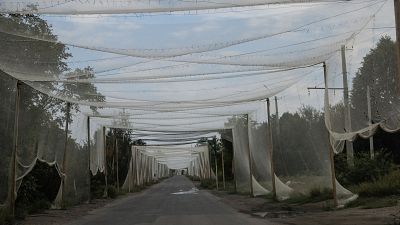 Rusia avanza hacia Konstantinovka, en Dnetsk, a las puertas del fin de su ofensiva de verano