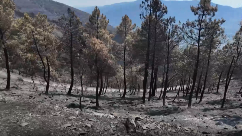 Preocupación por la intensidad de las lluvias tras los incendios