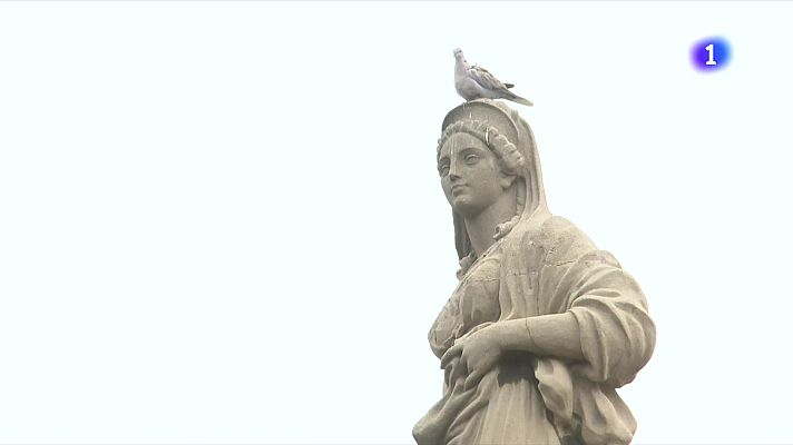 L'Informatiu - L'Ajuntament i el Port de Tarragona, contra la plaga de coloms